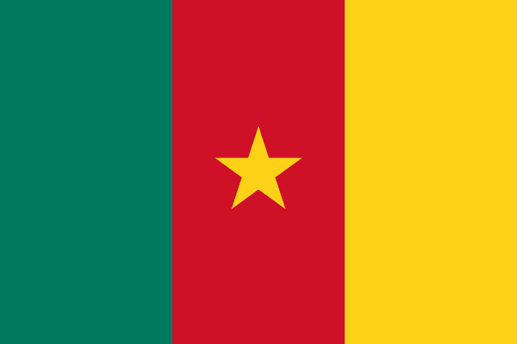 Cameroon flag